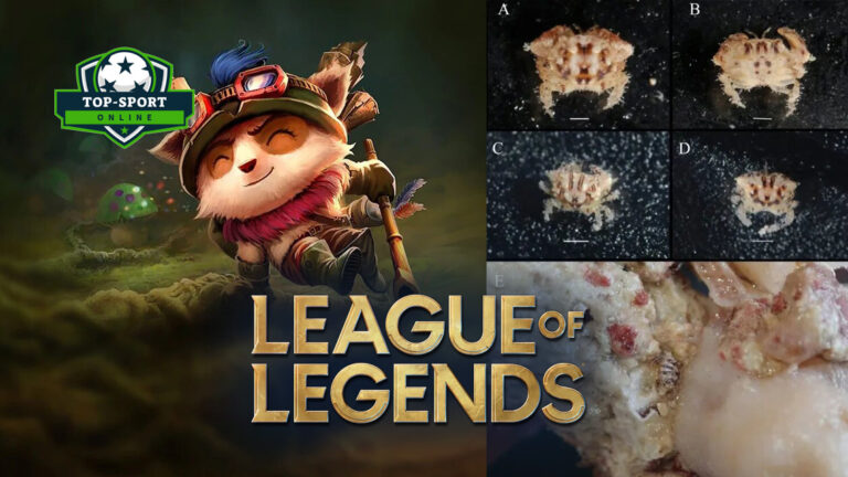 Scientists named a new species of crab after a character from League of Legends